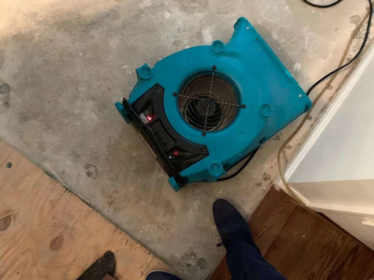 Air mover drying subfloor during Commercial Water Damage Restoration in Montclair